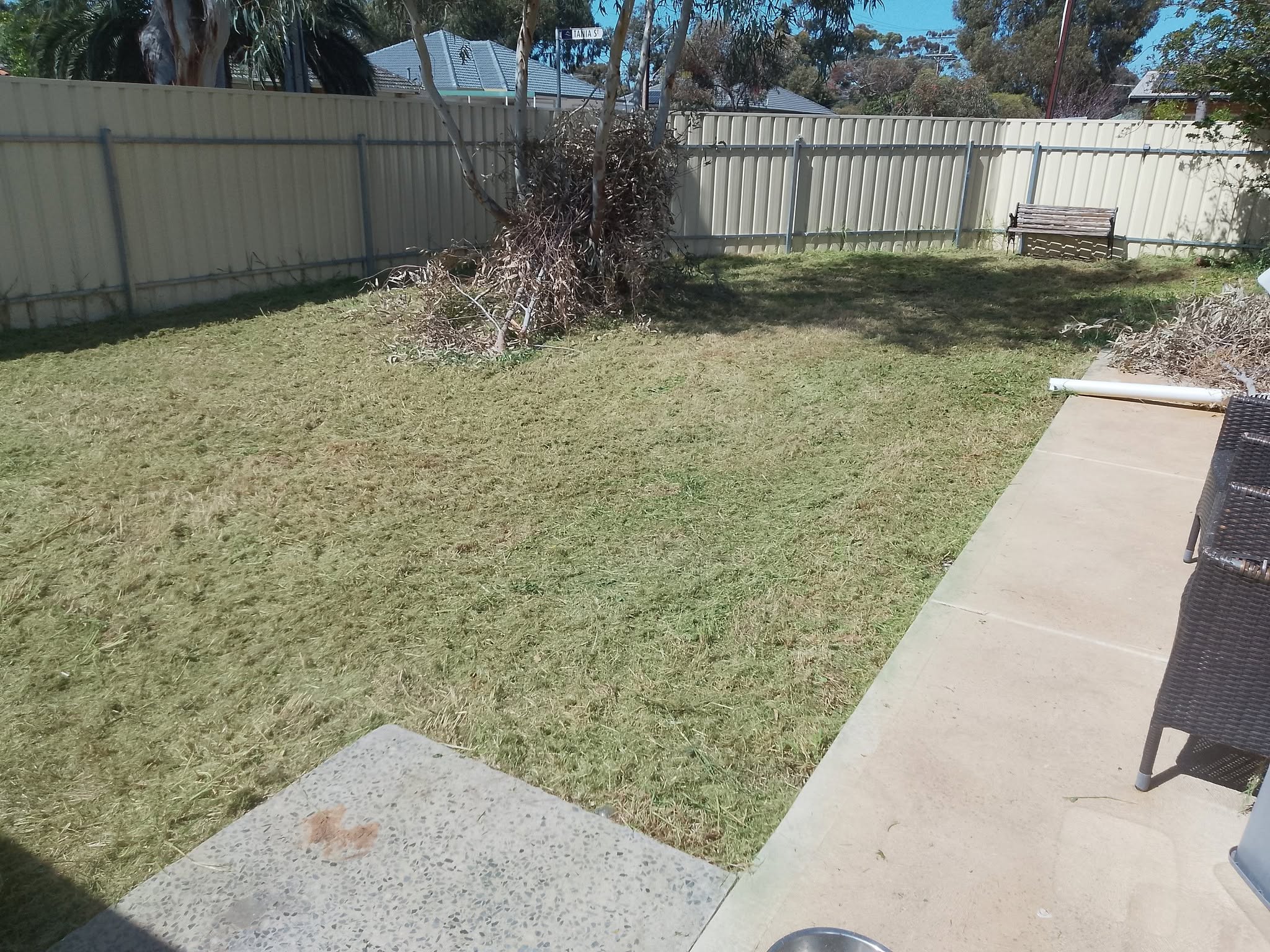 Backyard lawn after mowing and tidy-up by the CCTS gardening crew