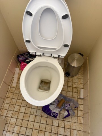 Toilet before cleaning