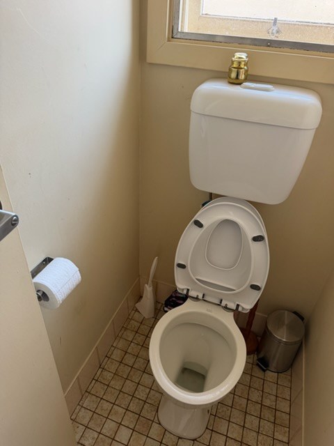 Toilet after cleaning