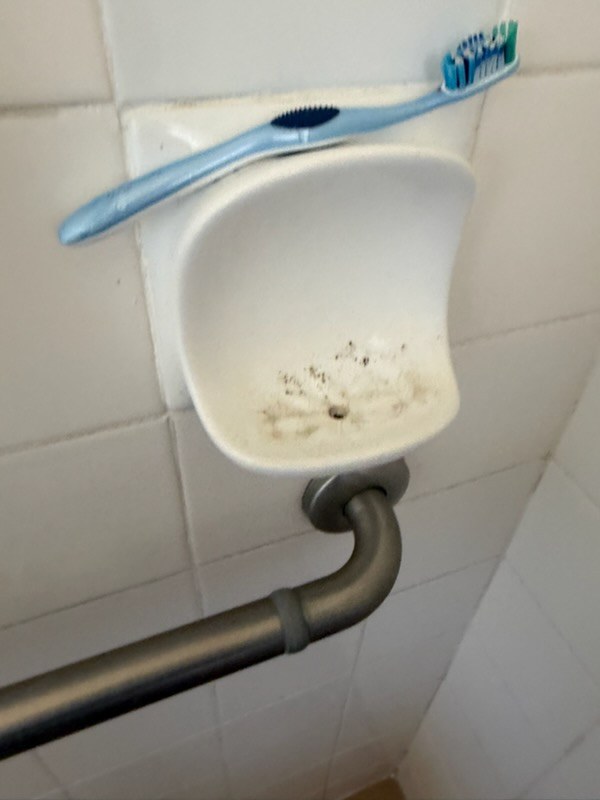 Toilet seat before cleaning