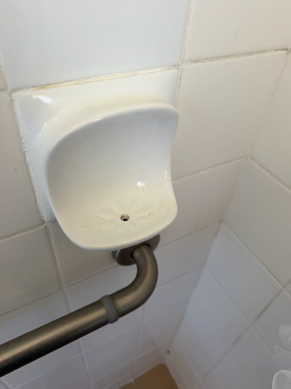 Toilet seat after cleaning